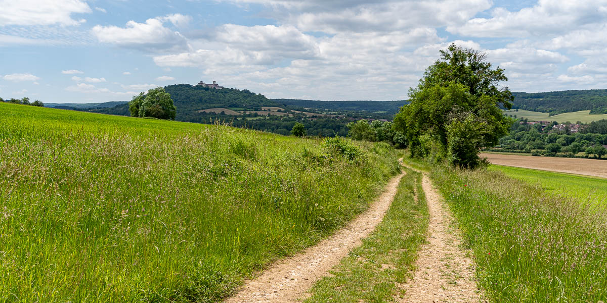 Descente vers Asquins, vue vers Vézelay