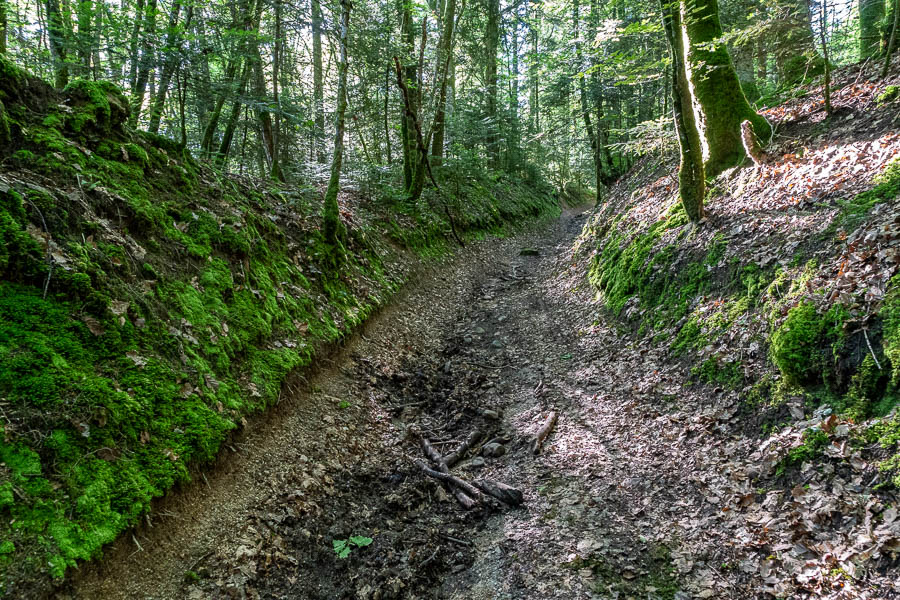 Chemin creux