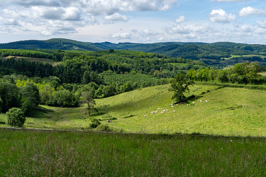 Le Morvan