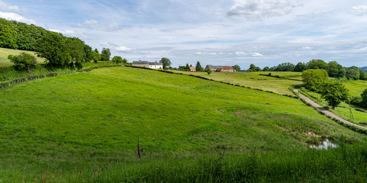 Bonnetré