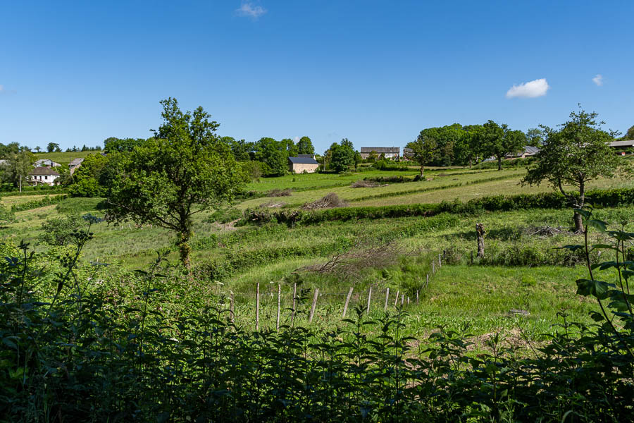 Fonteny