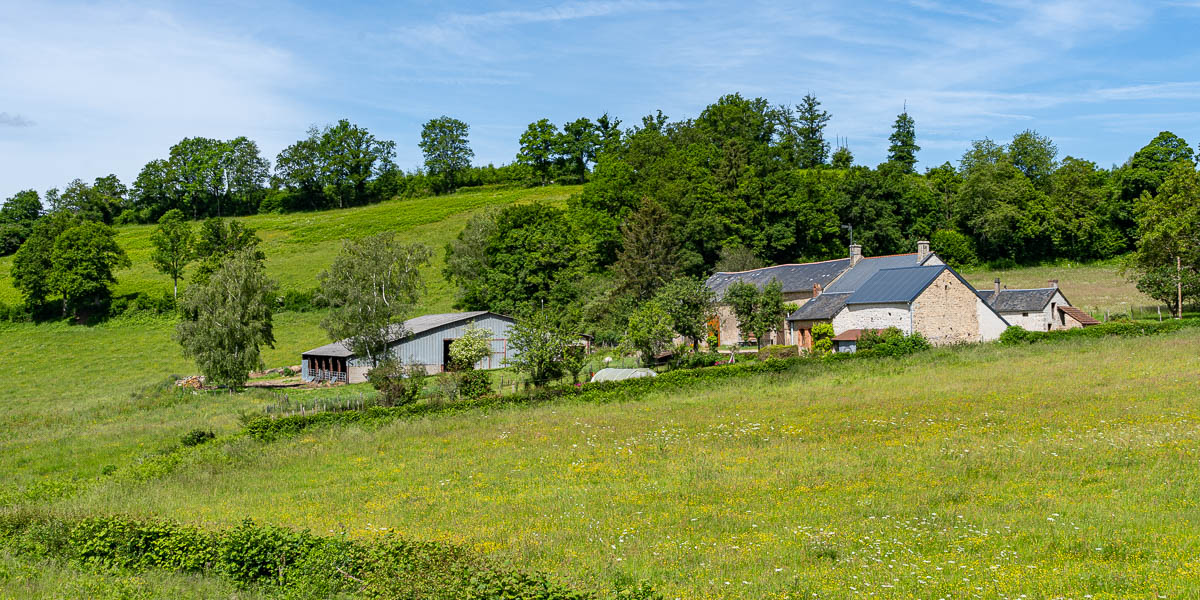 Savault