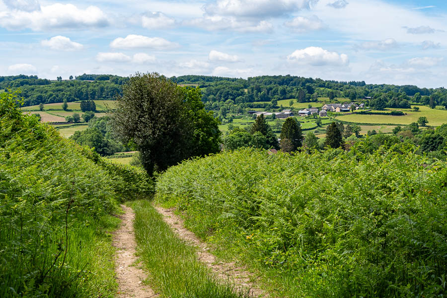 Le Plessis