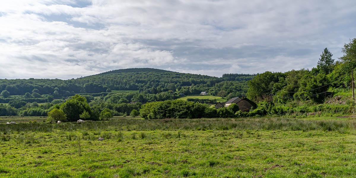 Montrillon