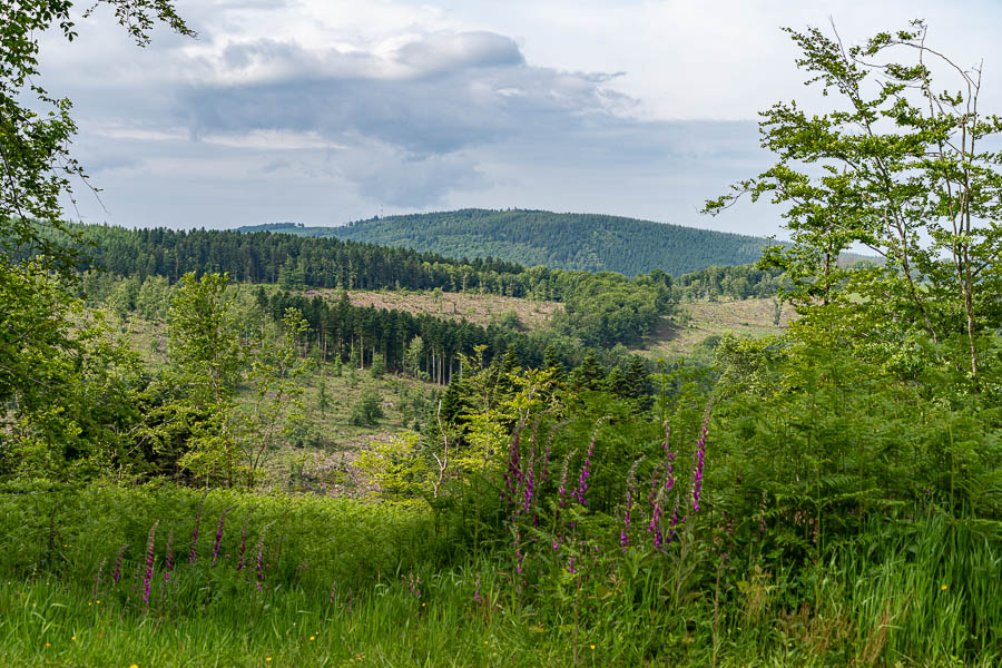 Haut-Folin, 901 m