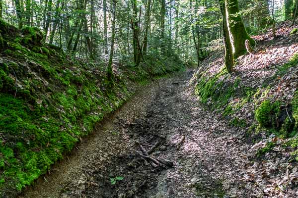 Chemin creux