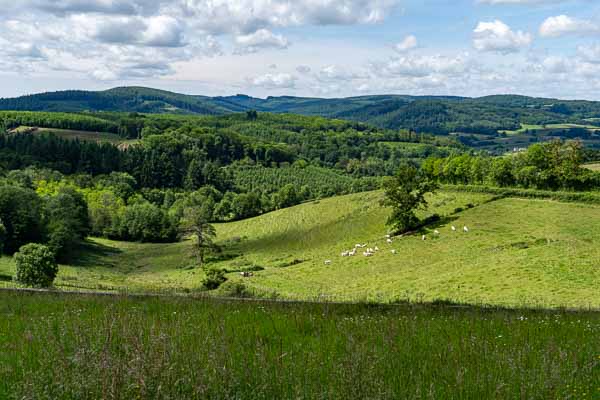 Le Morvan