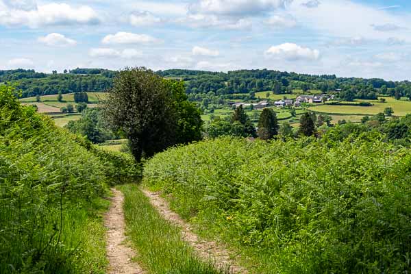 Le Plessis