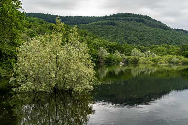 Lac de Pannecière