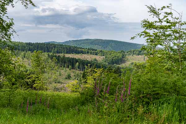 Haut-Folin, 901 m