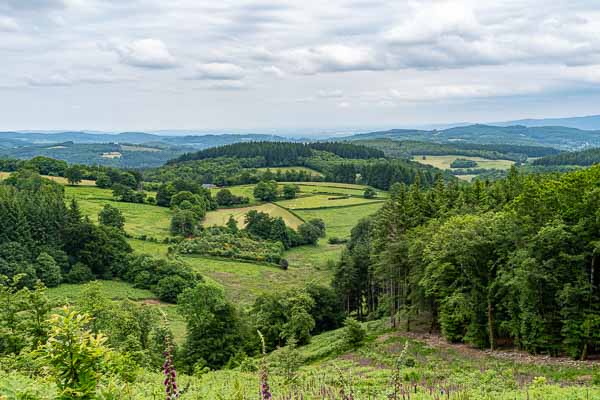 Mont Beuvray : descente vers Saint-Léger-sous-Beuvray