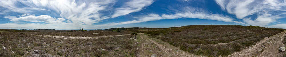 Plateau du Caroux