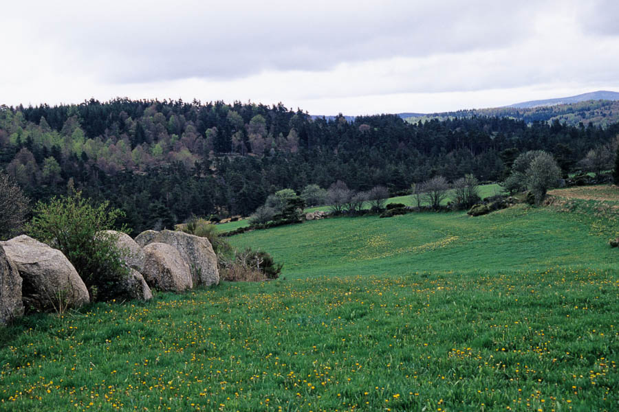 Le Gévaudan