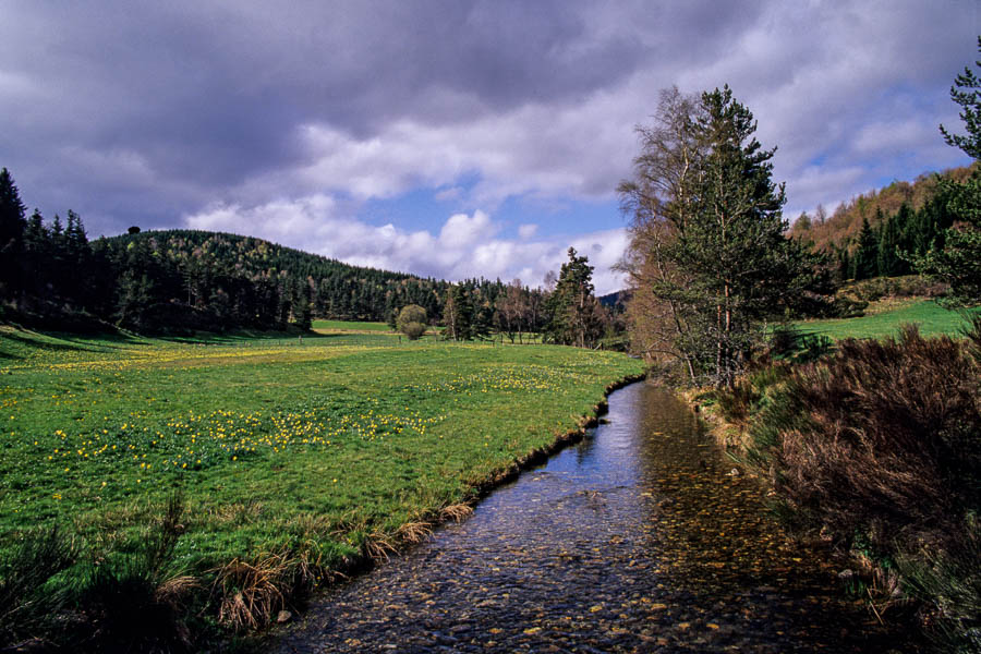 Rivière du Gévaudan