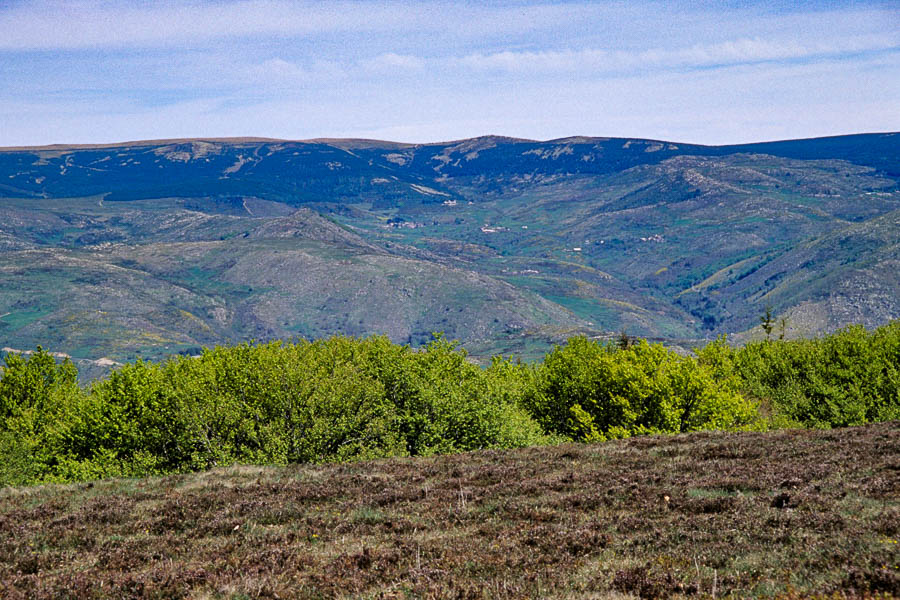 Mont Lozère depuis le signal du Bougès
