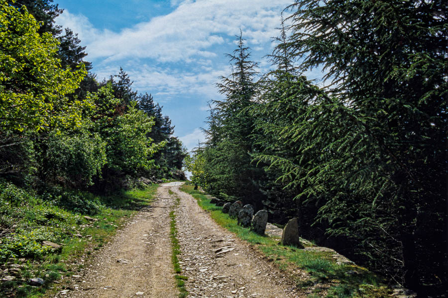 Ancienne route royale de Barre-des-Cévennes à St Germain-de-Calberte