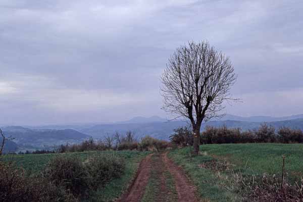 Au-dessus de Coubon, vue vers le sud