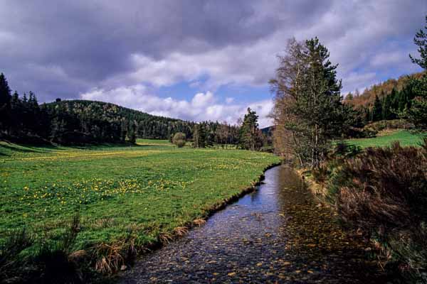 Rivière du Gévaudan