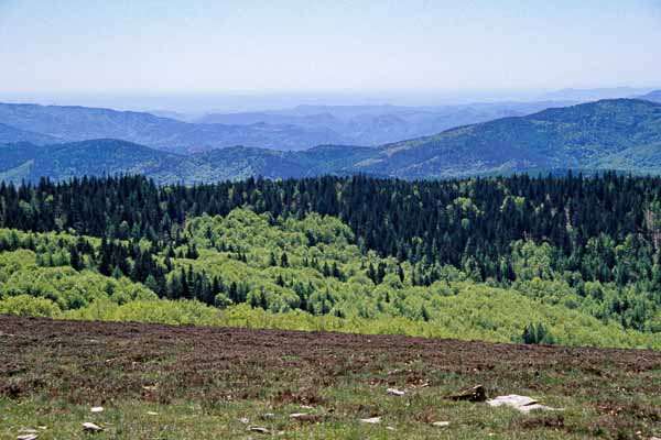 Les Cévennes depuis le signal du Bougès