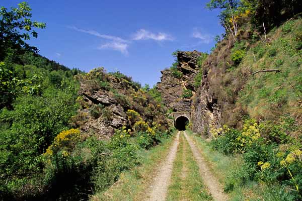 Tunnel de l'ancienne voie ferrée de la Mimente