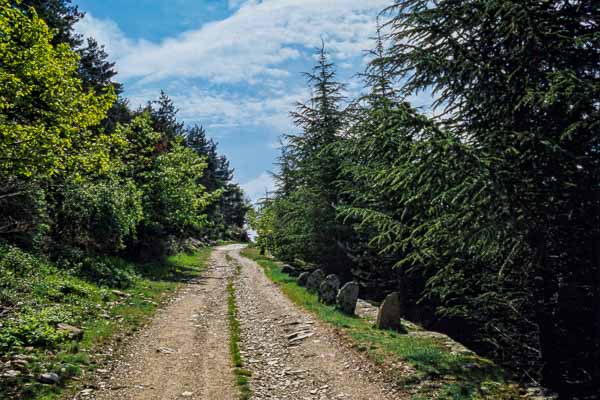 Ancienne route royale de Barre-des-Cévennes à Saint-Germain-de-Calberte