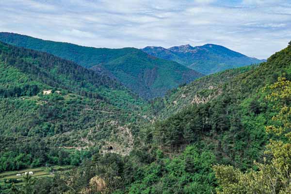 Vallée du Gardon