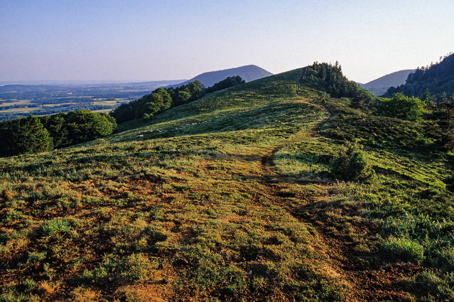 Puy des Gouttes, 1134 m