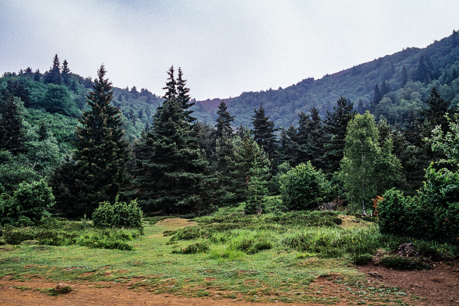 Puy de la Vache, 1167 m