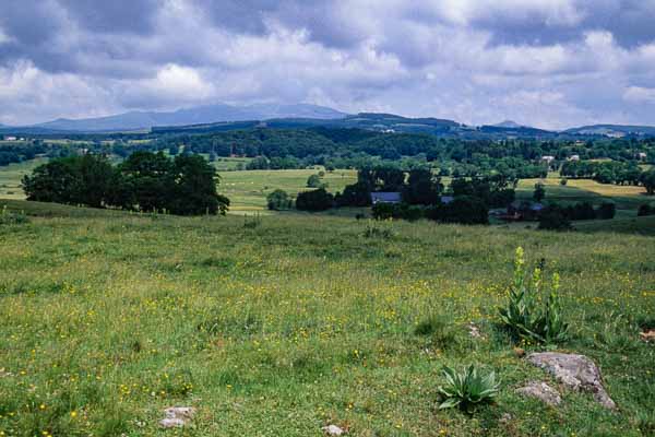 Plateau et Sancy