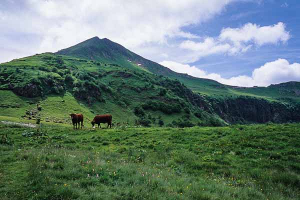 Puy Mary