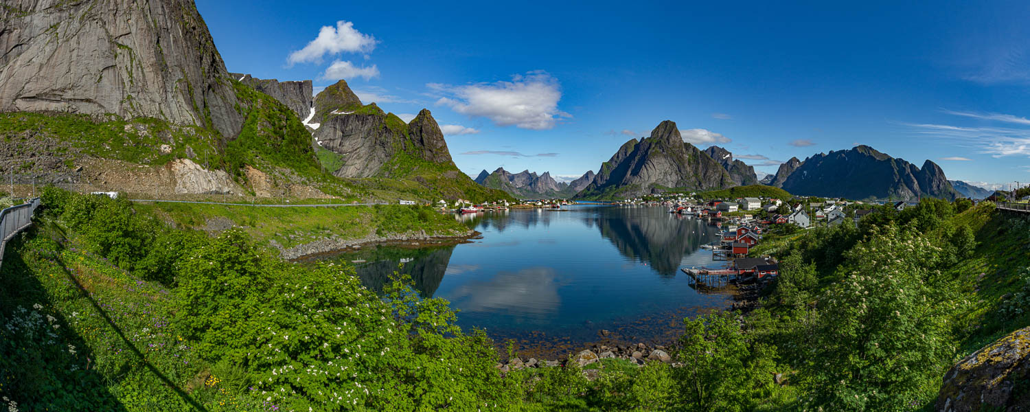 Reine