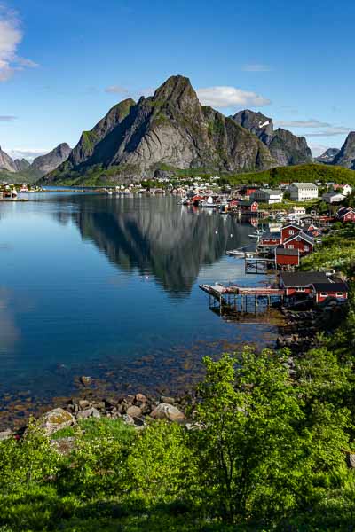 Reine