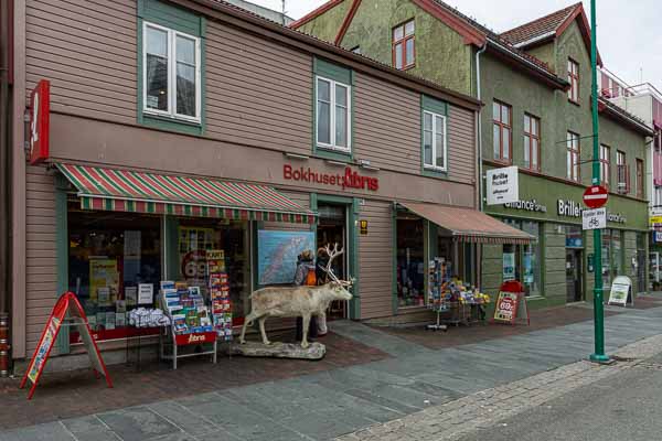 Tromsø : librairie et renne