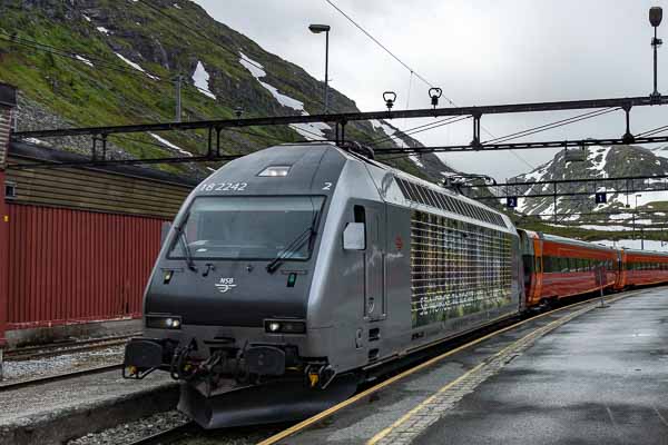 Train de Bergen à Oslo