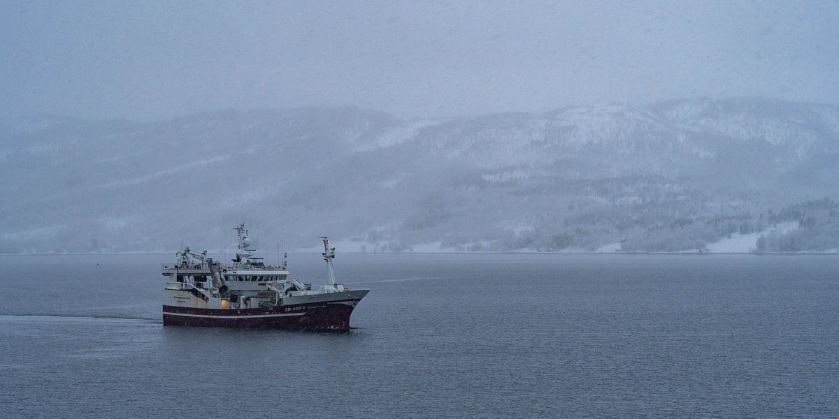 Bateau de pêche