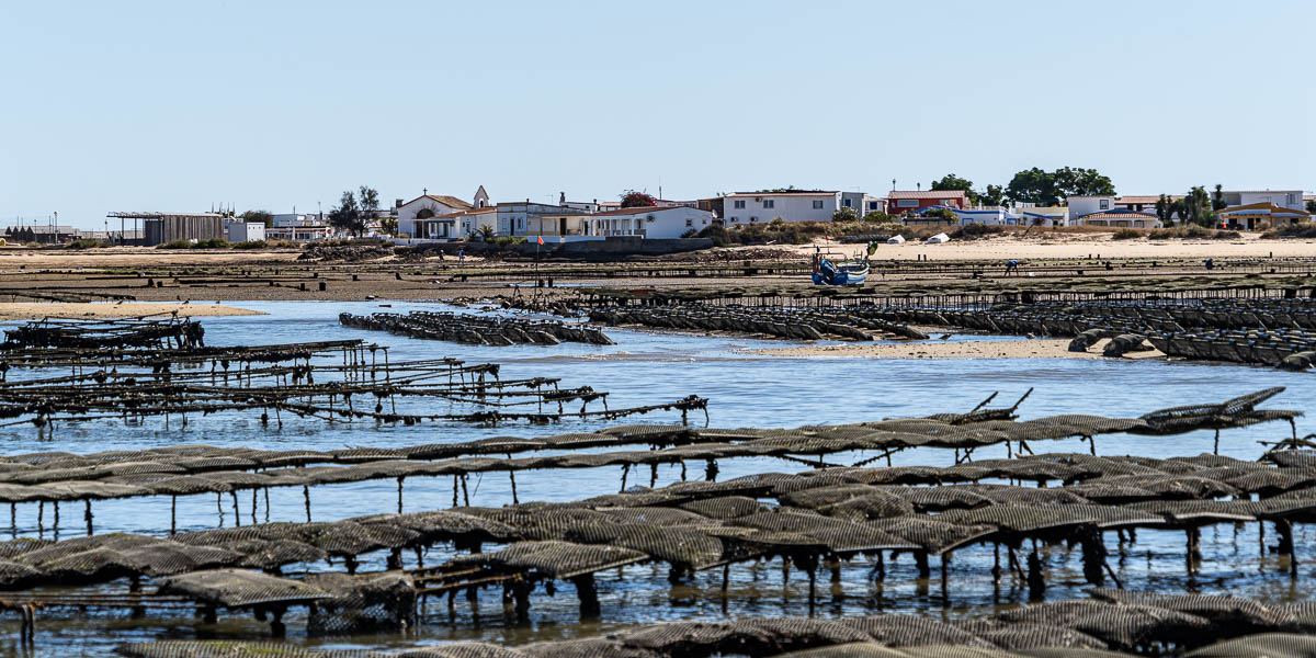 Ria Formosa : parc à huîtres et village de Culatra