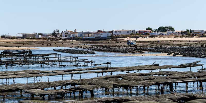 Ria Formosa : parc à huîtres et village de Culatra