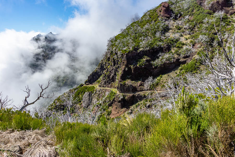 Sentier entre pico Ruivo et pico do Arieiro