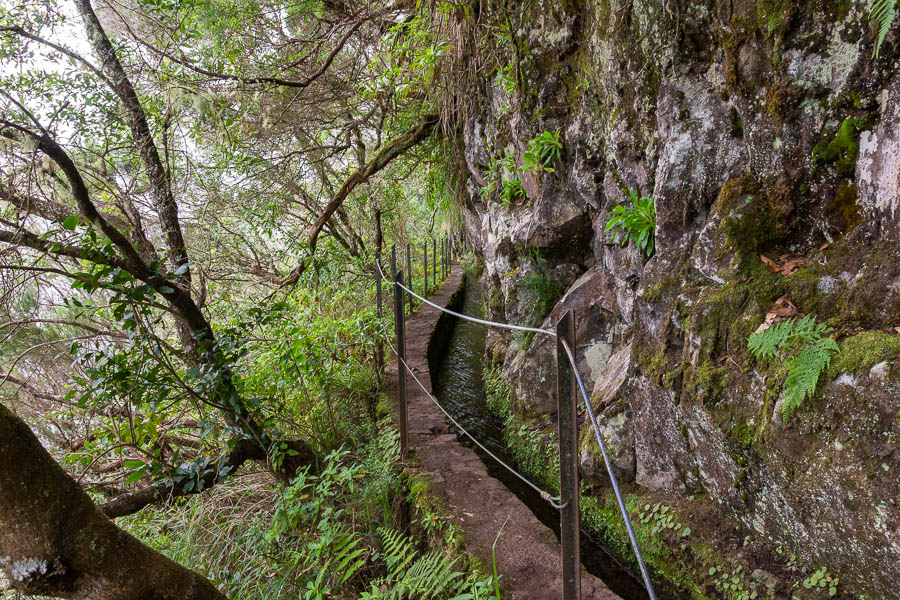 Levada de Caldeirão Verde