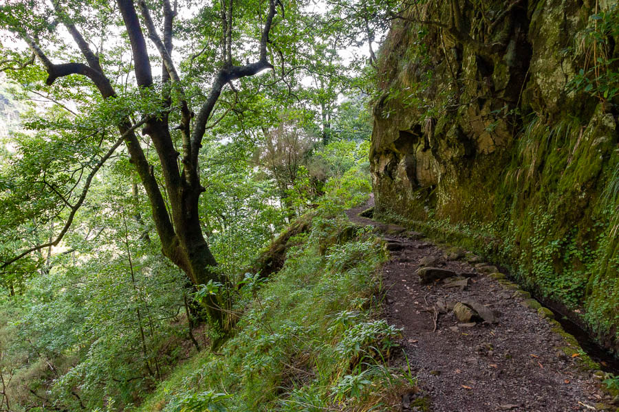 Levada de Caldeirão Verde