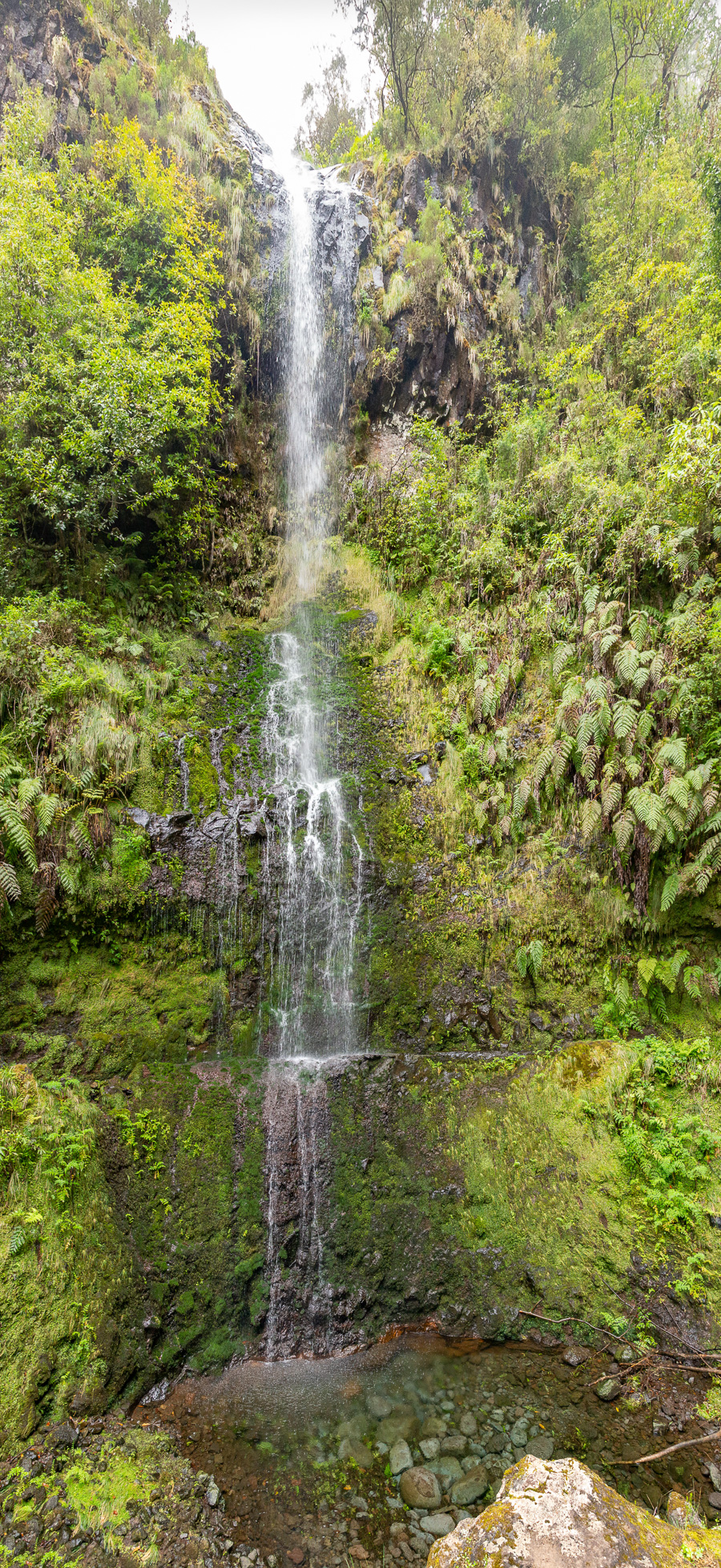 Cascade