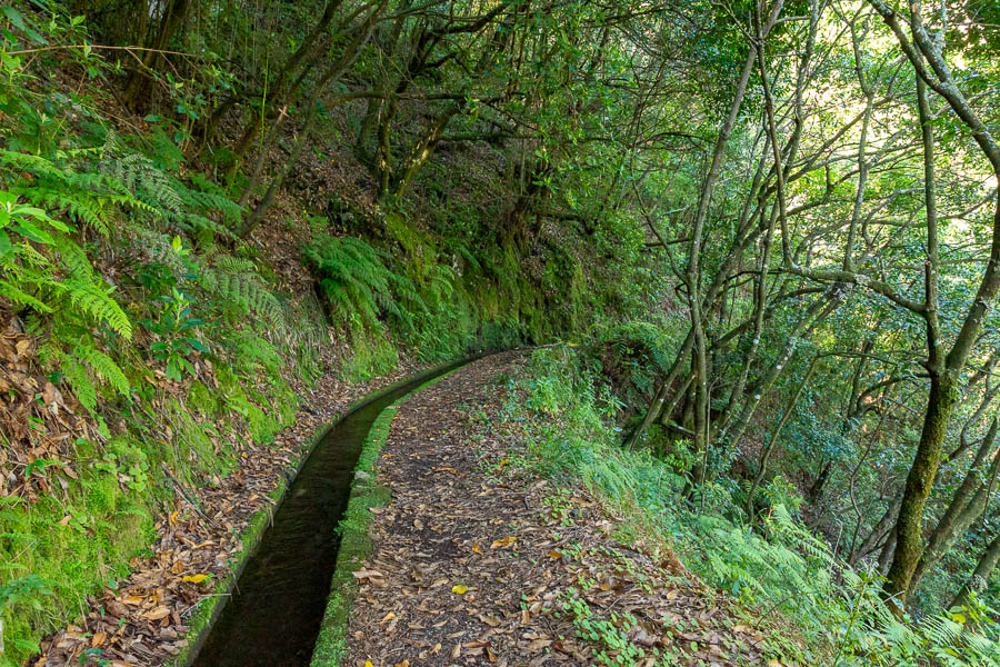 Levada dos Tornos