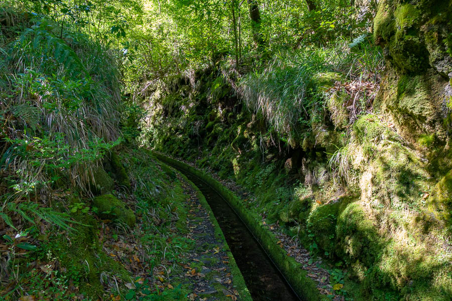 Levada dos Tornos