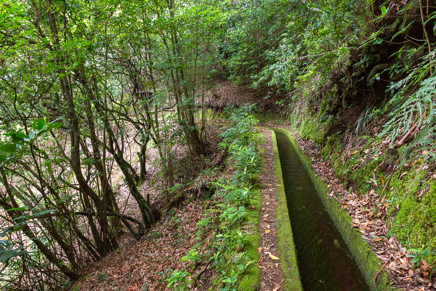 Levada dos Tornos