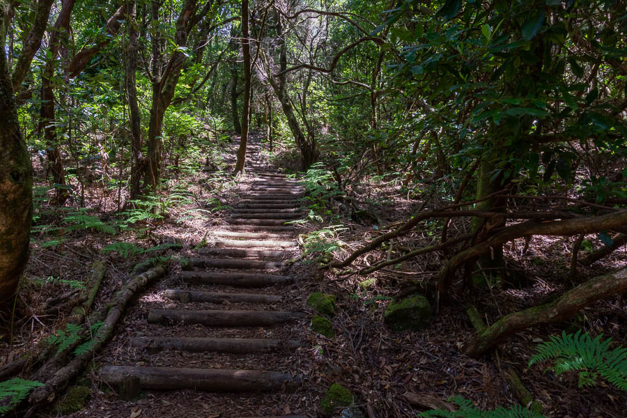 Descente vers la levada dos Cedros