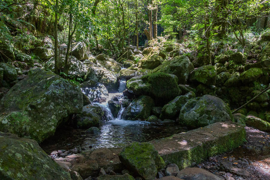 Source de la levada dos Cedros