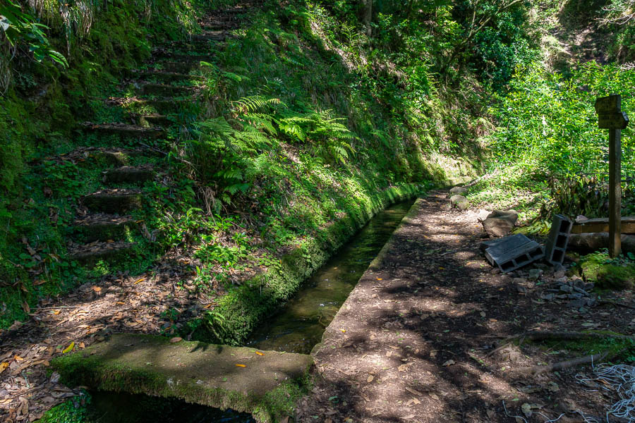 Levada de Ribeira da Janela