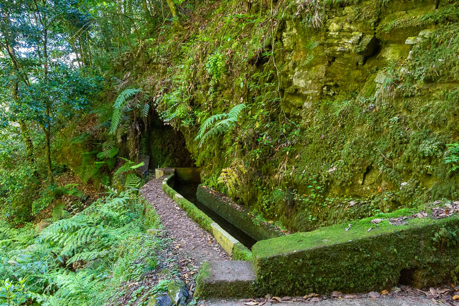 Levada de Ribeira da Janela, sortie du 1er tunnel (1,5 km)