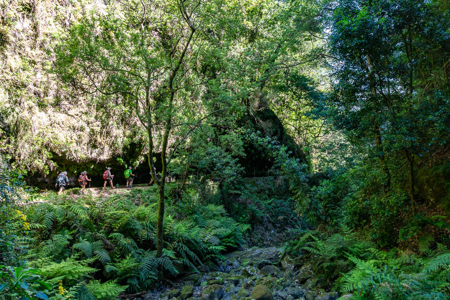 Levada de Ribeira da Janela