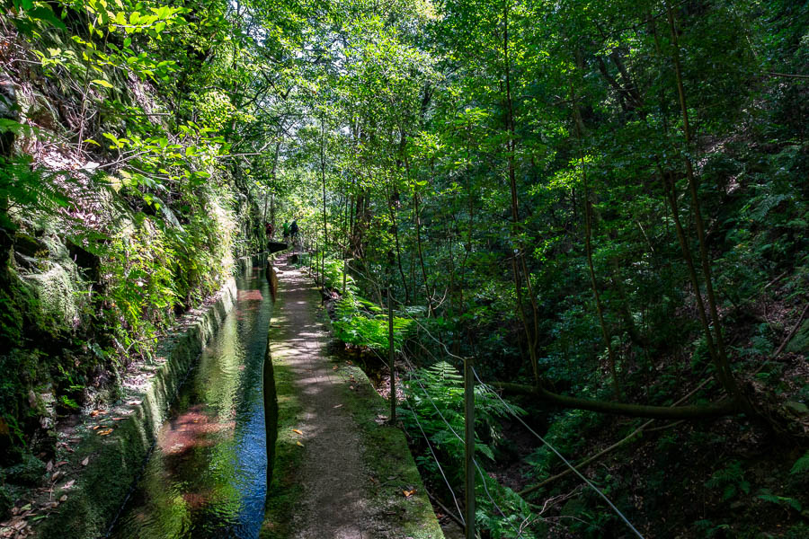 Levada de Ribeira da Janela